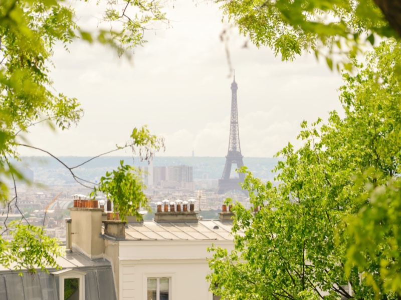 Apprendre le français à Paris cet été ! (stage intensif)